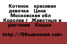 Котенок - красивая девочка › Цена ­ 5 - Московская обл., Королев г. Животные и растения » Кошки   